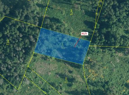 Prodej pozemku, les, 1 958 m²