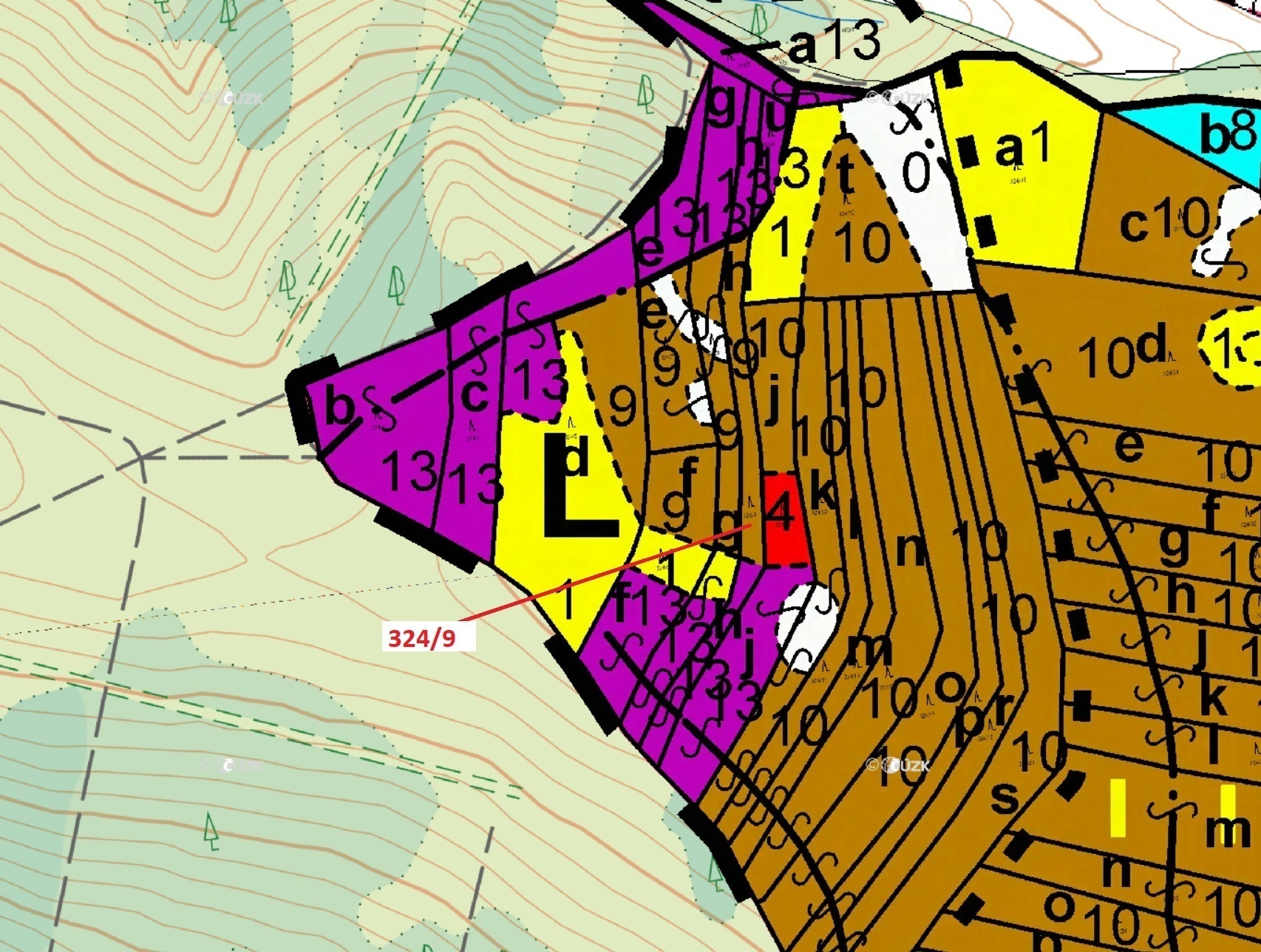 Lesní pozemek o výměře 1978 m2, podíl 1/1, katastrální území Chotěbudice, obec Chotěbudice, obec s r