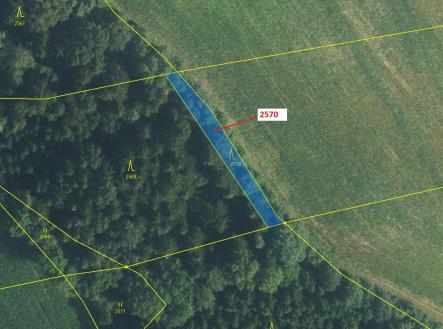 Prodej pozemku, les, 447 m²