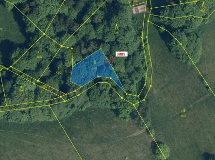 Prodej pozemku, les, 561 m²