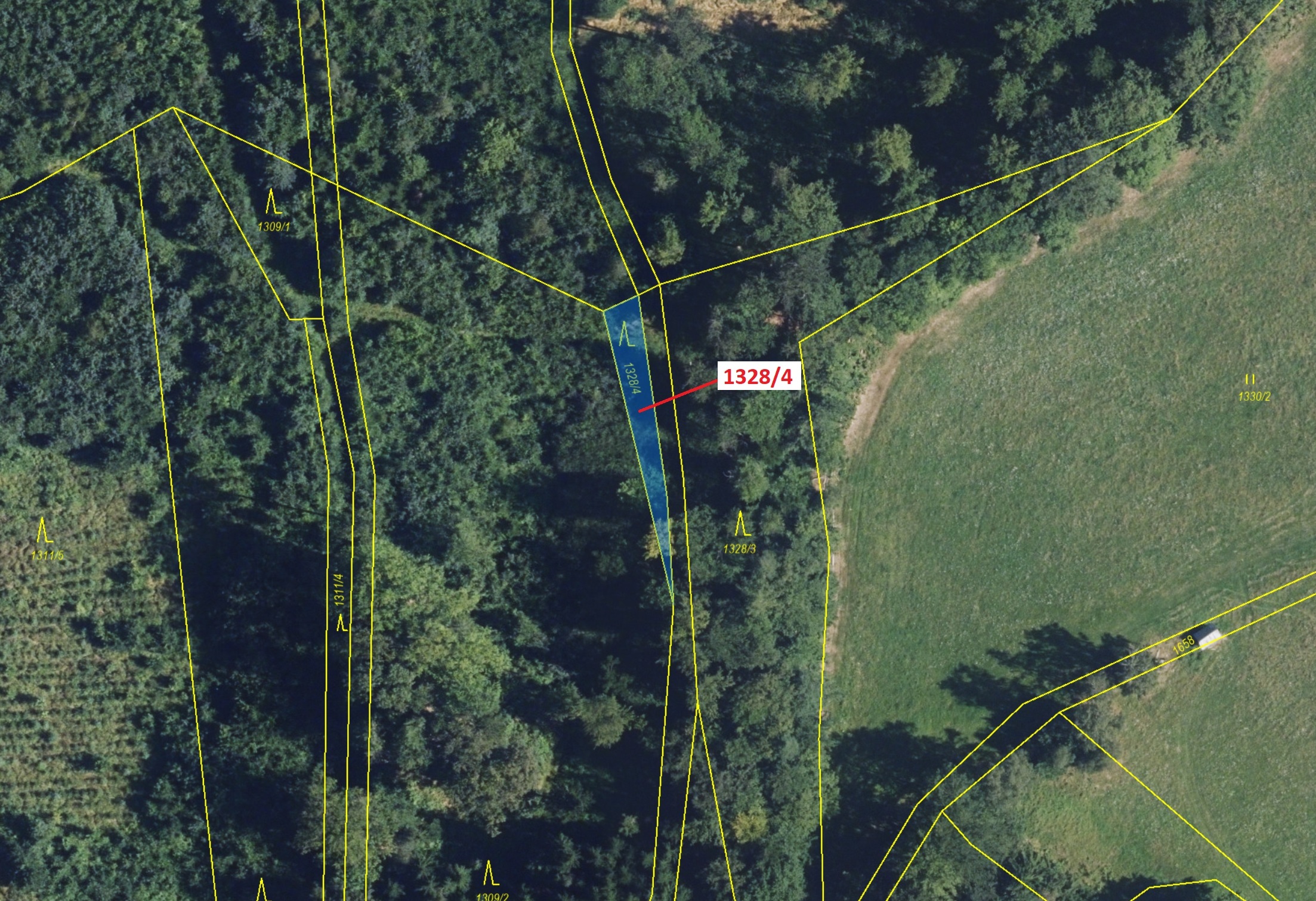 Lesní pozemek o výměře 199 m2, podíl 1/1, katastrální území Kladky, obec Kladky, obec s rozšířenou p