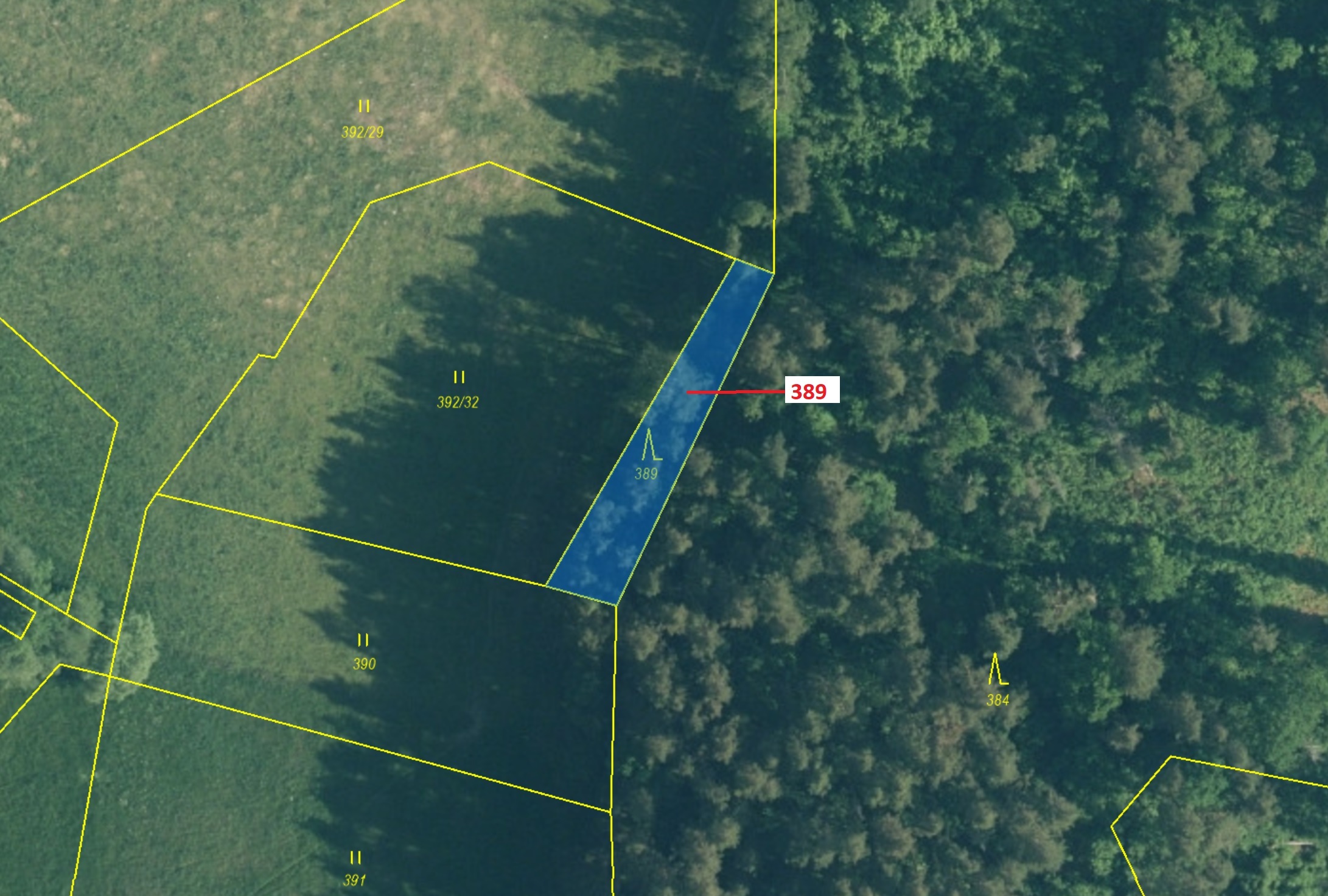 Lesní pozemek o výměře 332 m2, podíl 1/1, katastrální území Zavlekov, obec Zavlekov, obec s rozšířen