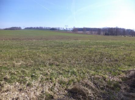 Prodej pozemku, trvalý travní porost, 4 291 m²