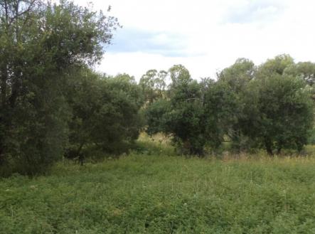 Prodej pozemku, trvalý travní porost, 12 065 m²