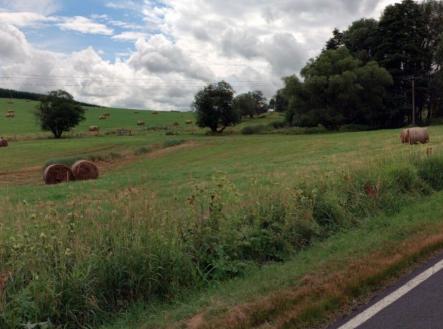 Prodej pozemku, trvalý travní porost, 12 065 m²