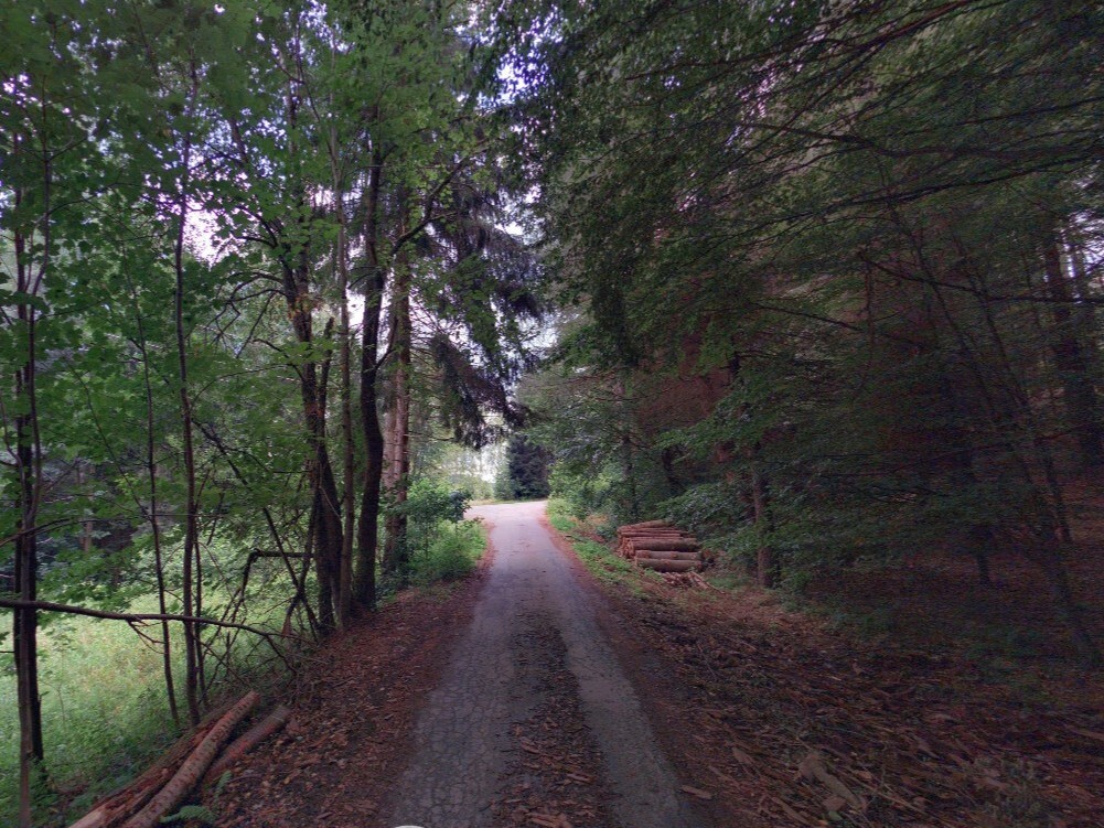 Pozemek o velikosti 1825m2, Jívka