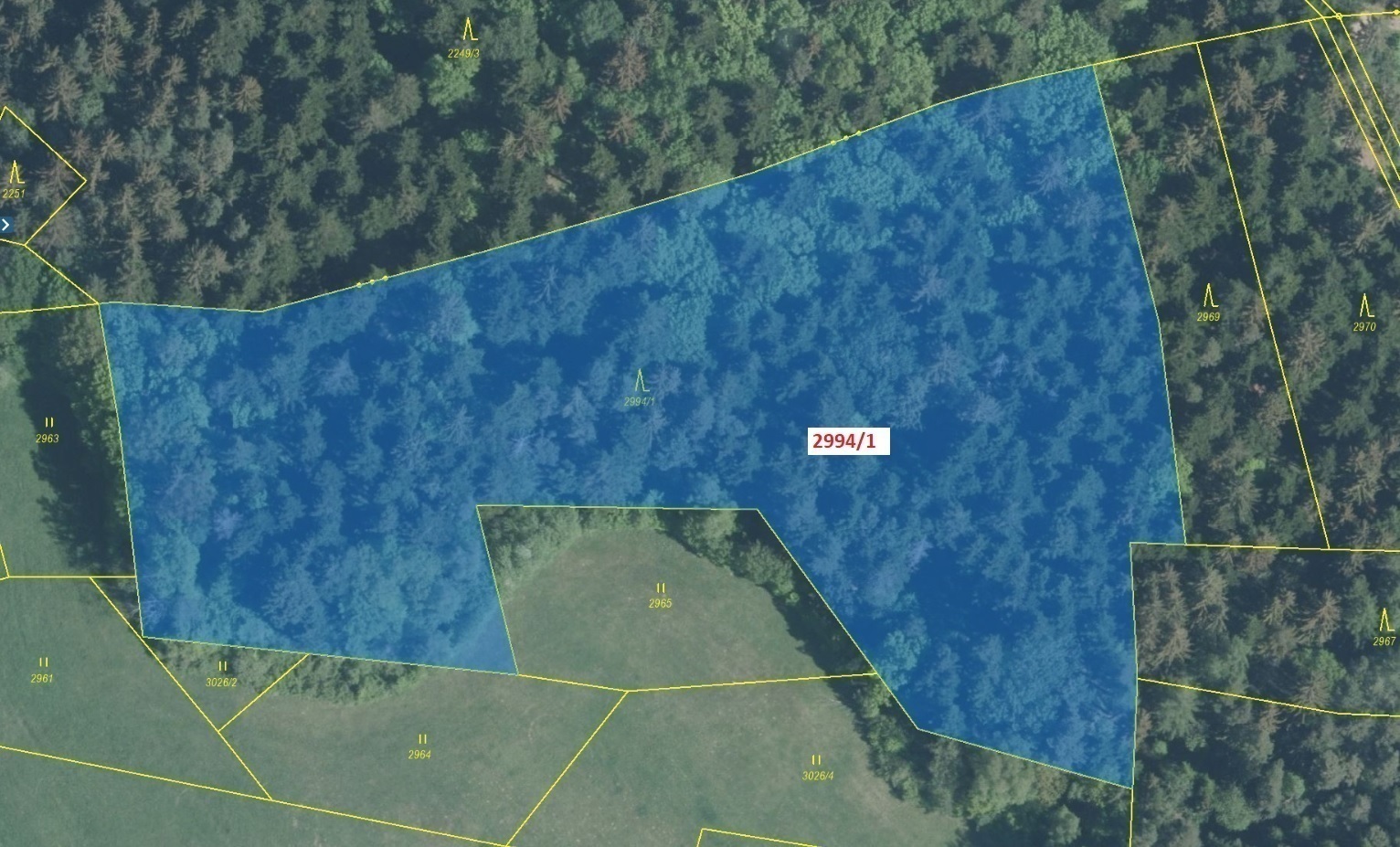 Lesní pozemek o výměře 15 135 m2, podíl 1/1, katastrální území Lačnov, obec Lačnov, obec s rozšířeno