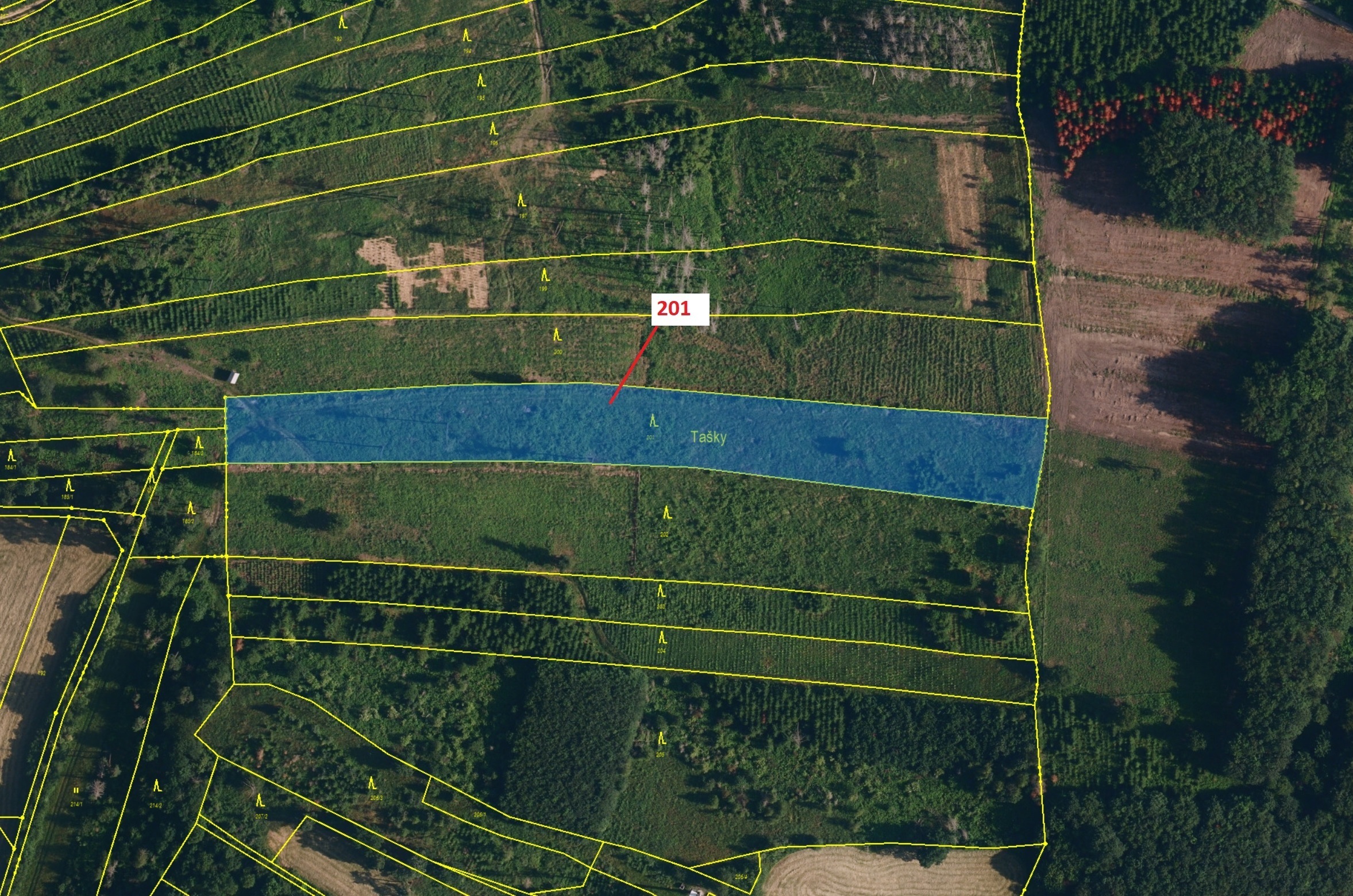 Lesní pozemek o výměře 7 796 m2, podíl 1/1, katastrální území Loukovice, obec Loukovice, obec s rozš