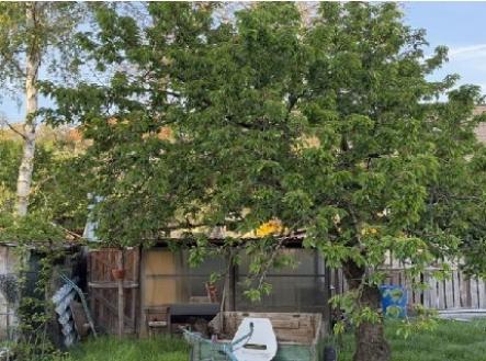 Prodej pozemku pro bydlení, 443 m²