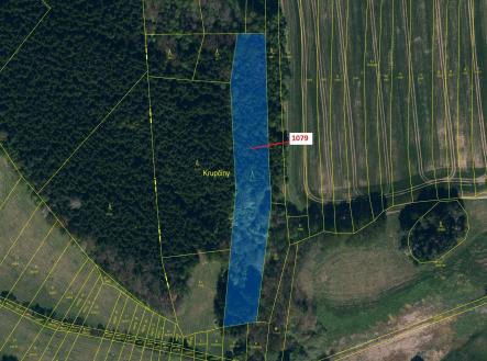 Prodej pozemku, les, 5 041 m²