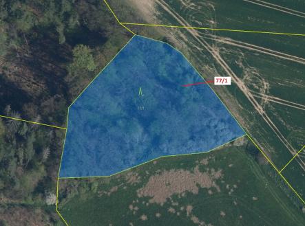 Prodej pozemku, les, 4 432 m²