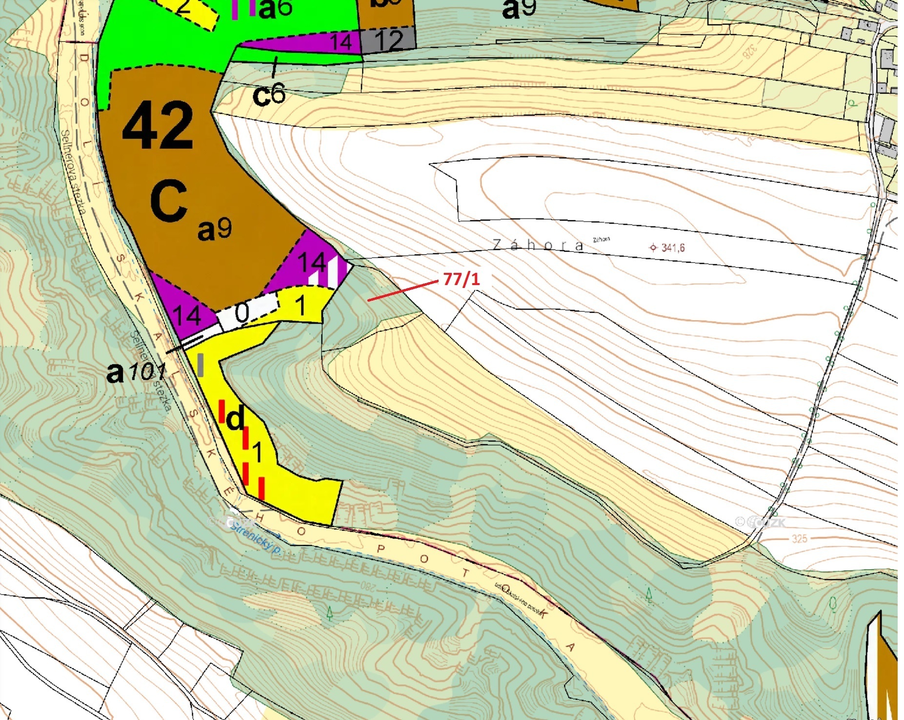 Lesní pozemek o výměře 4432 m2, podíl 1/1, katastrální území Víska u Březovic, obec Březovice, obec 