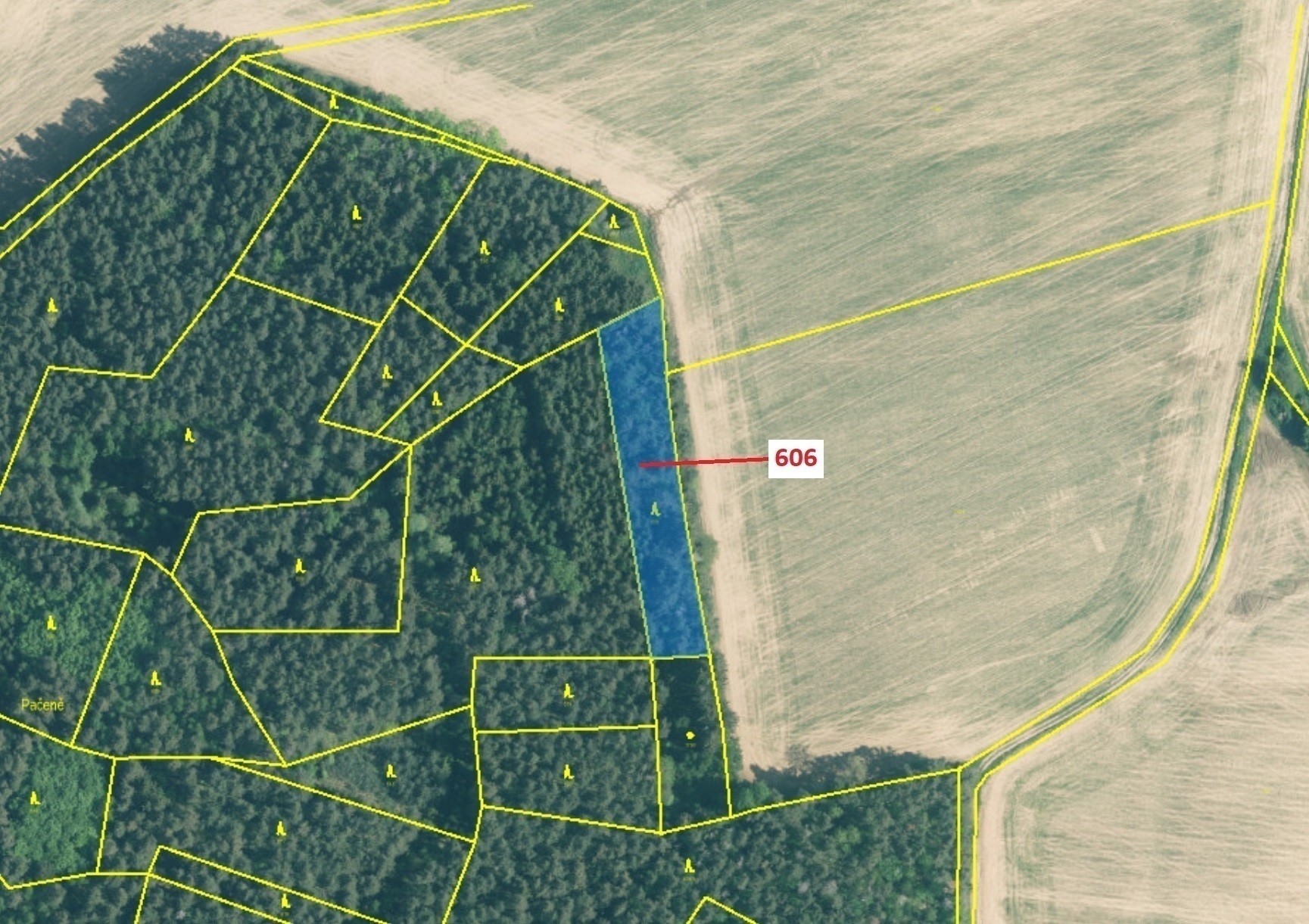 Lesní pozemek o výměře 2526 m2, podíl 1/1, katastrální území Kuřimany, obec Kuřimany, obec s rozšíře
