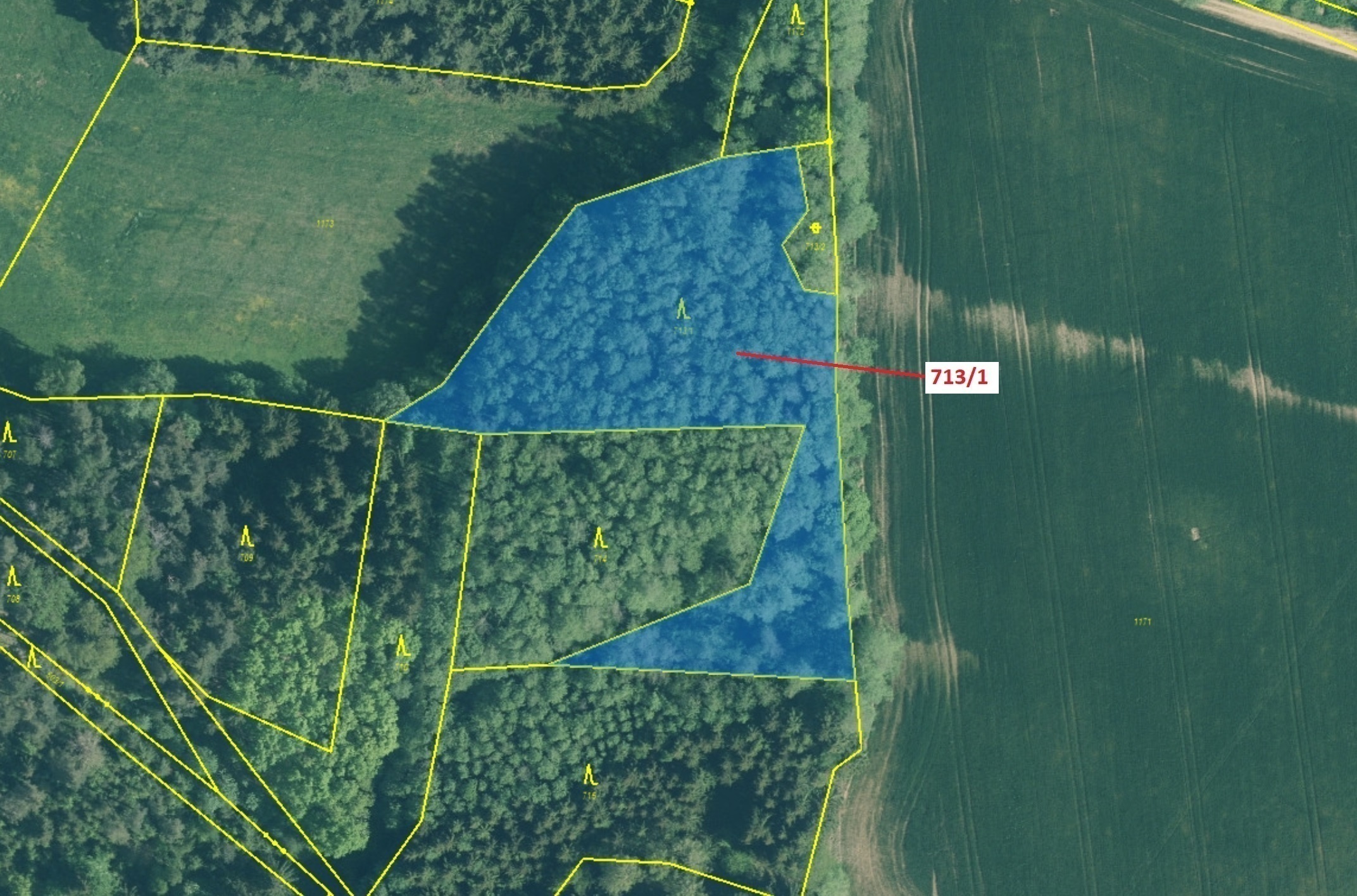 Lesní pozemek o výměře 5067 m2, podíl 1/1, katastrální území Kuřimany, obec Kuřimany, obec s rozšíře