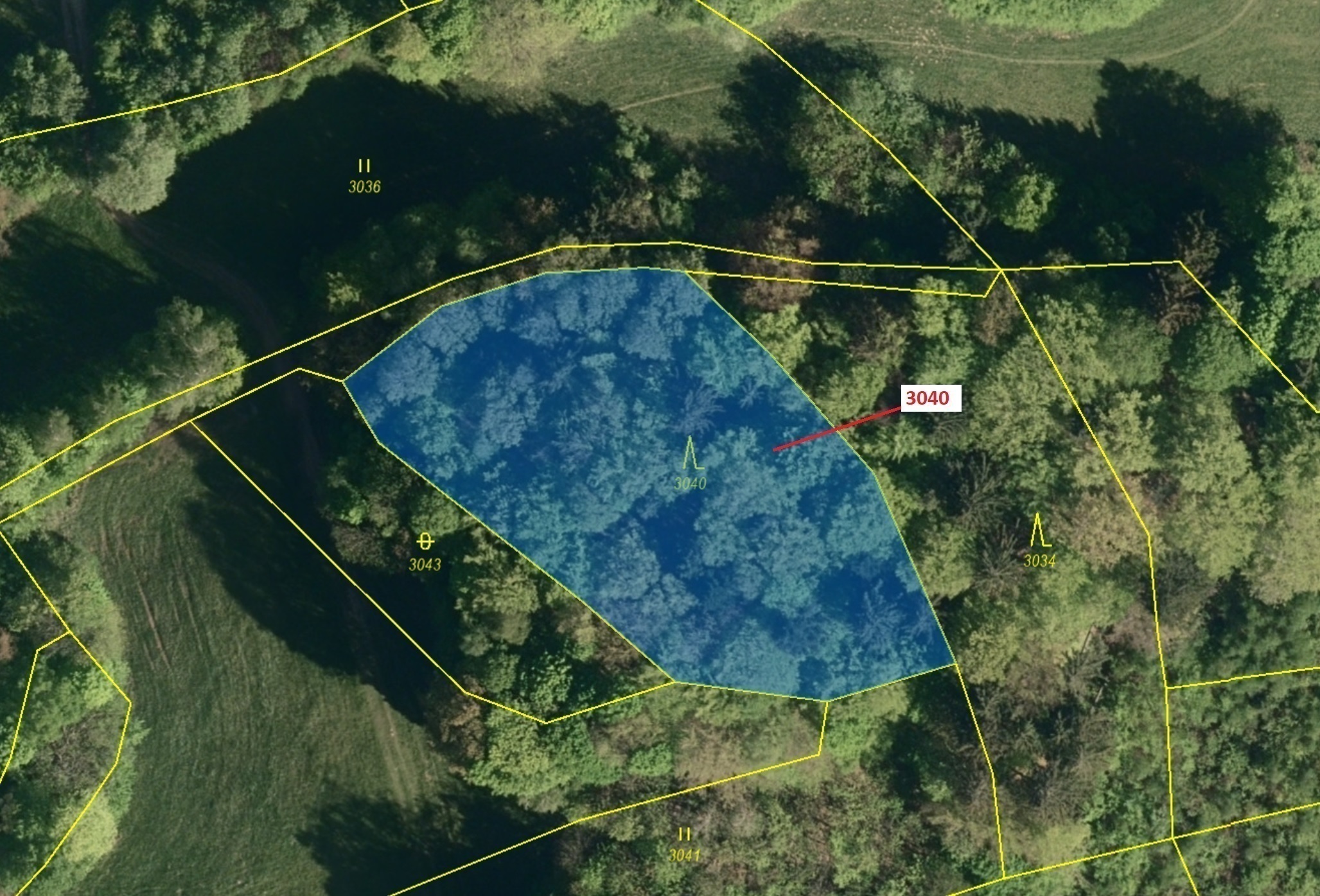 Lesní pozemek o výměře 2428 m2, podíl 1/1, katastrální území Zděchov, obec Zděchov, obec s rozšířeno