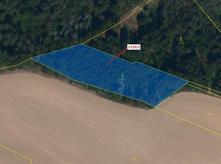 Prodej pozemku, les, 3 636 m²