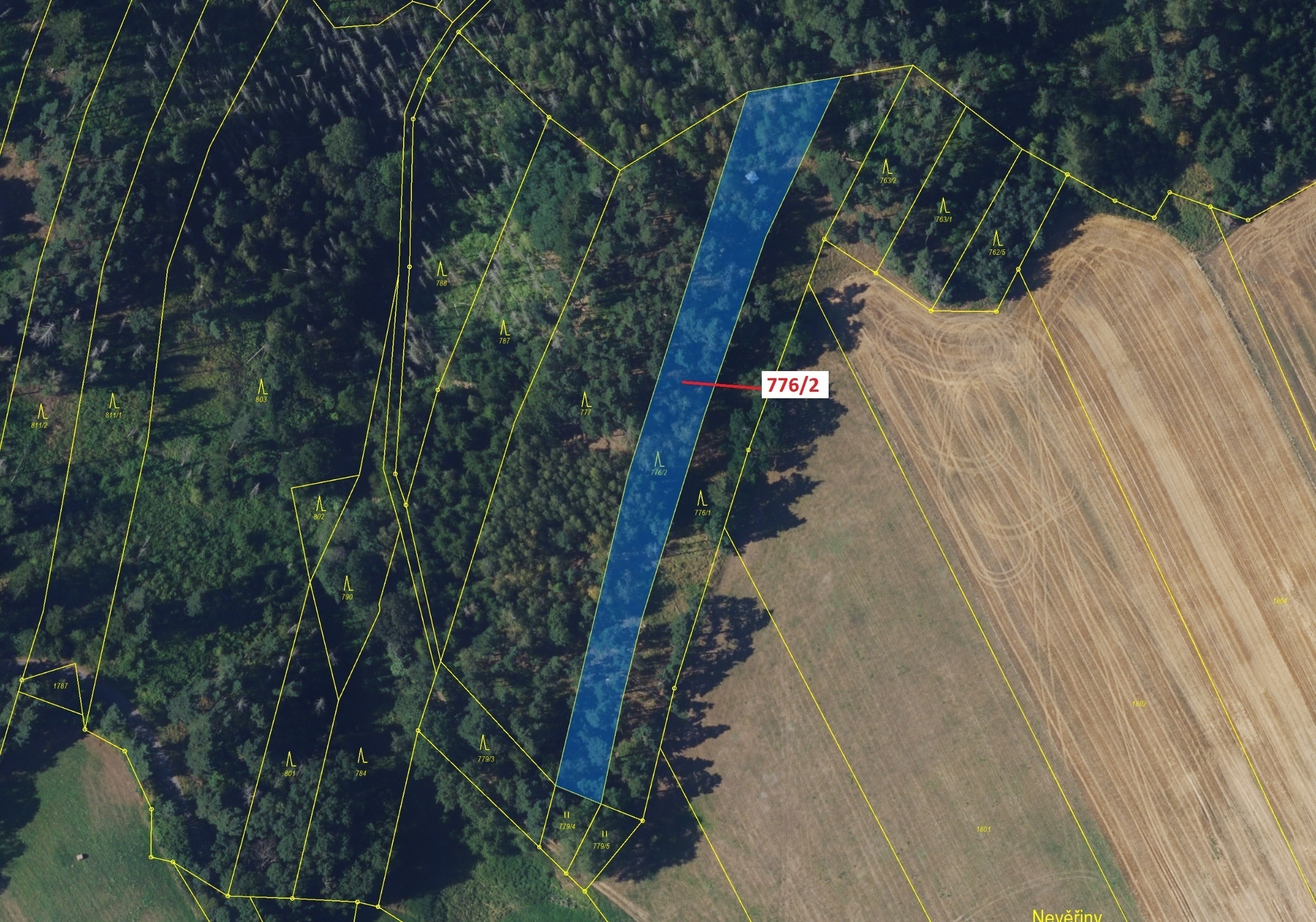 Lesní pozemek o výměře 3169 m2, podíl 1/1, katastrální území Žďárec, obec Žďárec, obec s rozšířenou 