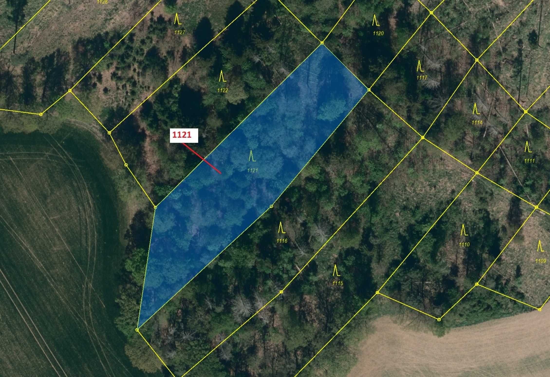 Lesní pozemek o výměře 2998 m2, podíl 1/1, katastrální území Jedov, obec Náměšť nad Oslavou, obec s 