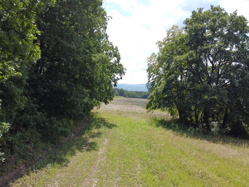 Pozemek o velikosti 23500m2, Luhačovice