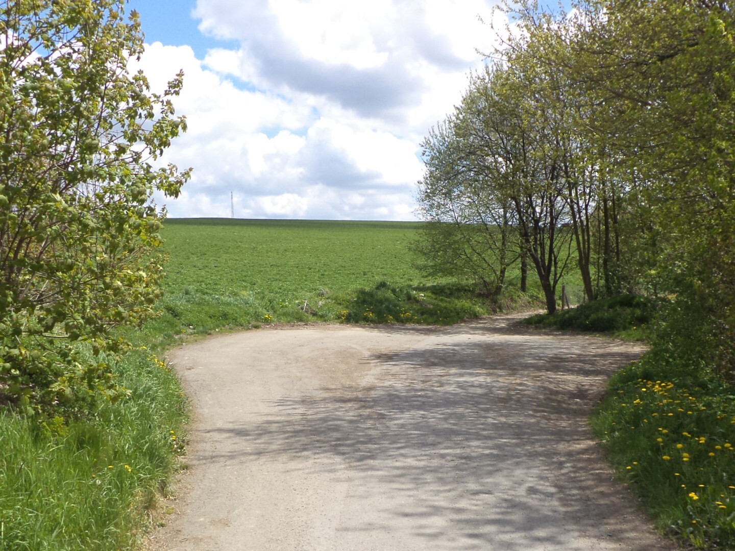 Pozemek o velikosti 3225m2, Vítkov