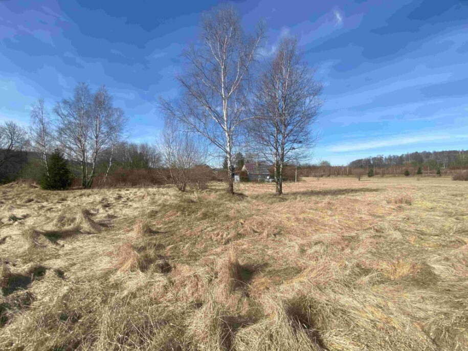 Pozemek o velikosti 3300m2, Nový Žďár