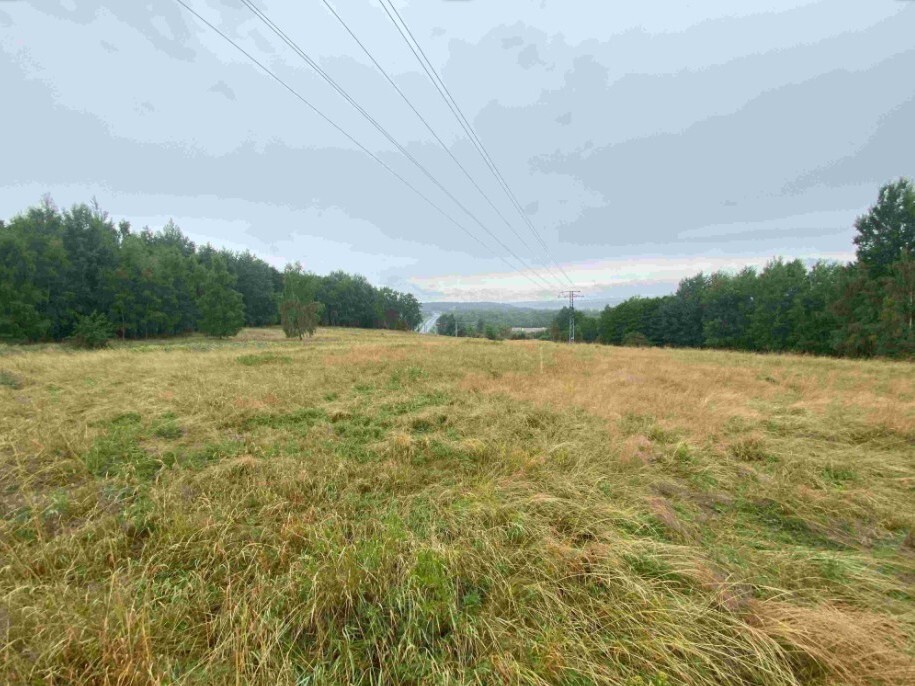 Pozemek o velikosti 49321m2, Loučky u Lokte