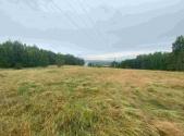Prodej pozemku, trvalý travní porost, 49 321 m²