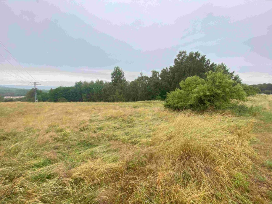 Pozemek o velikosti 49321m2, Loučky u Lokte