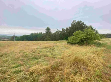 Prodej pozemku, trvalý travní porost, 49 321 m²