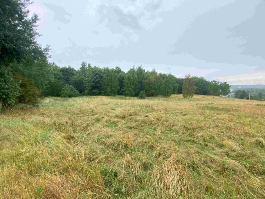 Pozemek o velikosti 49321m2, Loučky u Lokte