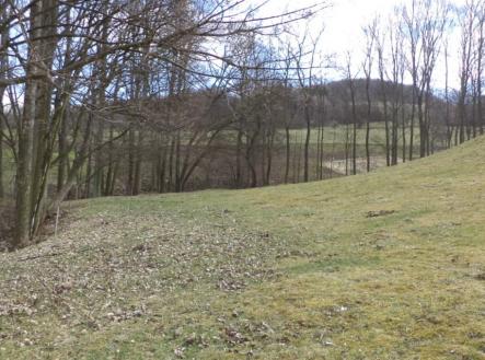 Prodej pozemku, trvalý travní porost, 4 633 m²