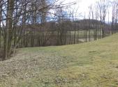 Prodej pozemku, trvalý travní porost, 4 633 m²
