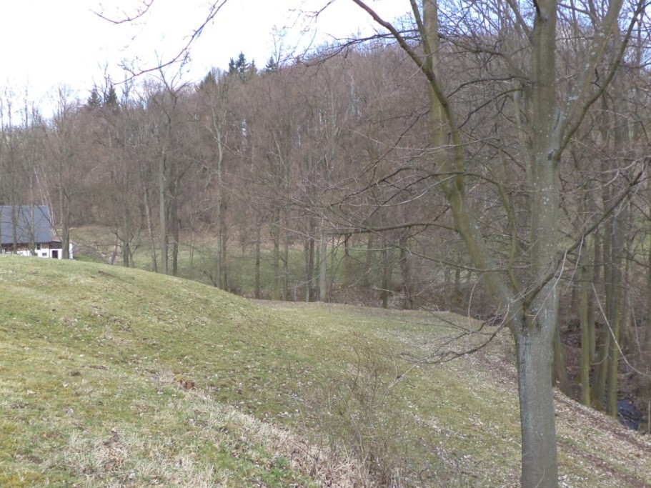 Pozemek o velikosti 4633m2, Fojtovice u Heřmanova