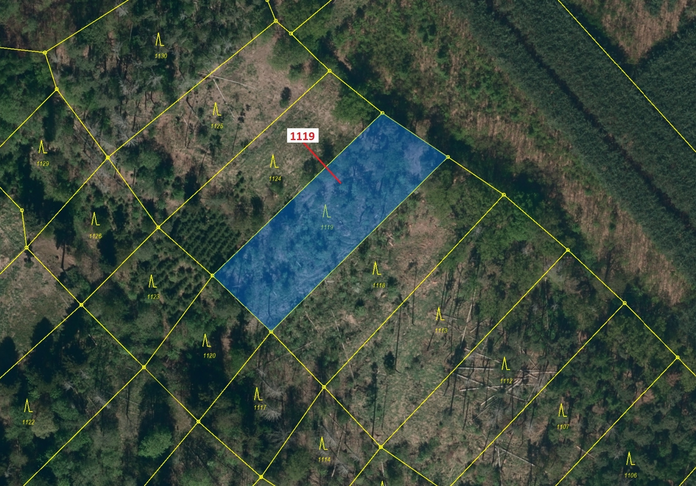 Lesní pozemek o výměře 1976 m2, podíl 1/1, katastrální území Jedov, obec Náměšť nad Oslavou, obec s 