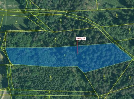 Prodej pozemku, les, 11 078 m²