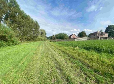 Prodej pozemku, trvalý travní porost, 6 901 m²