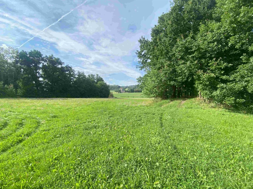 Pozemek o velikosti 6901m2,Hranice u Malče