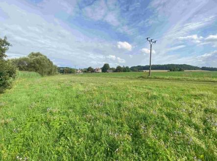 Prodej pozemku, trvalý travní porost, 6 901 m²