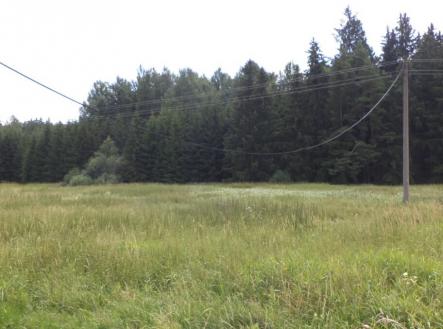 Prodej pozemku, trvalý travní porost, 13 137 m²