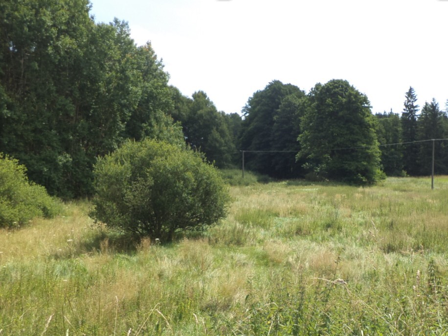 Pozemek o velikosti 13137m2, Nahý Újezdec