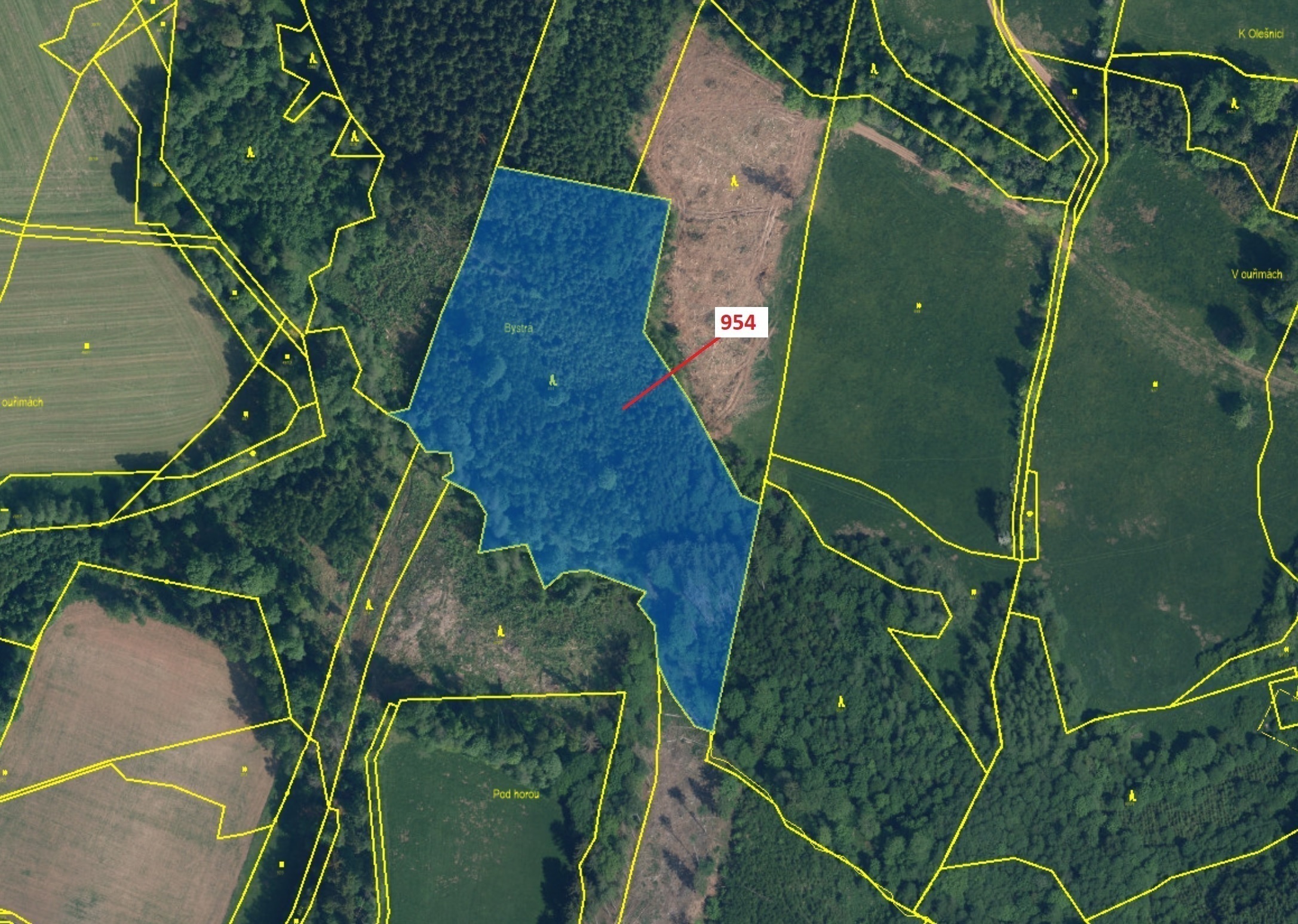 Lesní pozemek o výměře 20 539 m2, podíl 1/1, katastrální území Bystrá nad Jizerou, obec Bystrá nad J