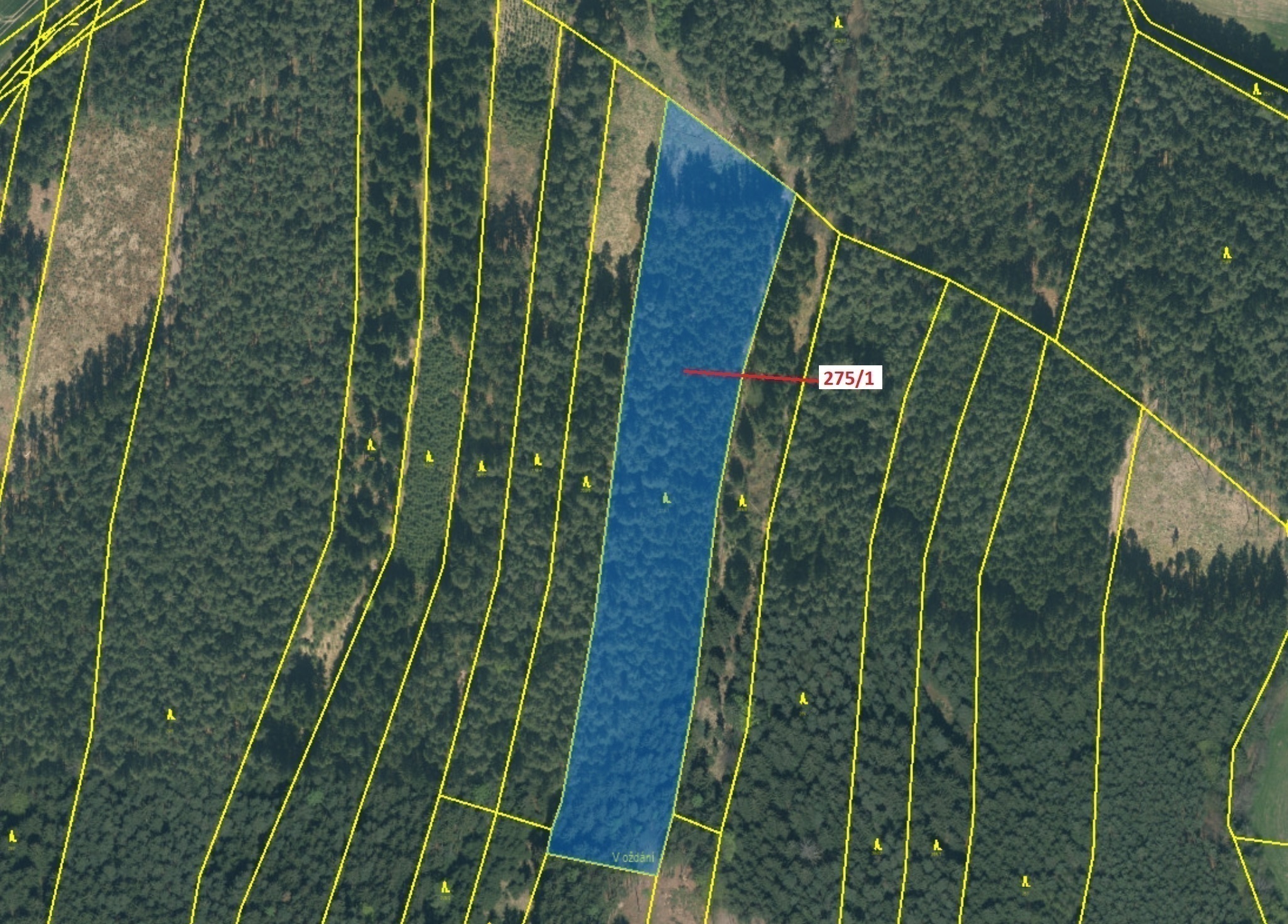 Lesní pozemek o výměře 15 717 m2, podíl 1/1, katastrální území Tříklasovice, obec Psárov, obec s roz