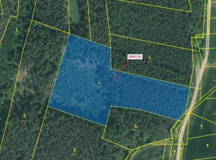 Prodej pozemku, les, 9 168 m²