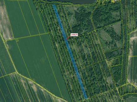 Prodej pozemku, les, 19 879 m²