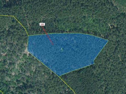 Prodej pozemku, les, 9 333 m²