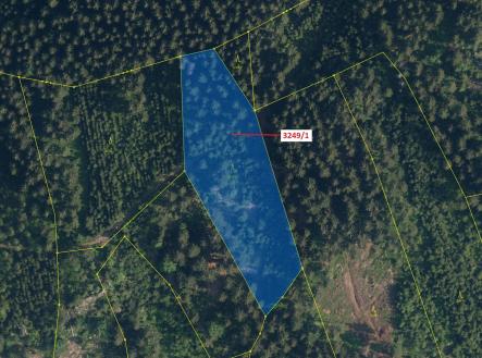 Prodej pozemku, les, 5 995 m²