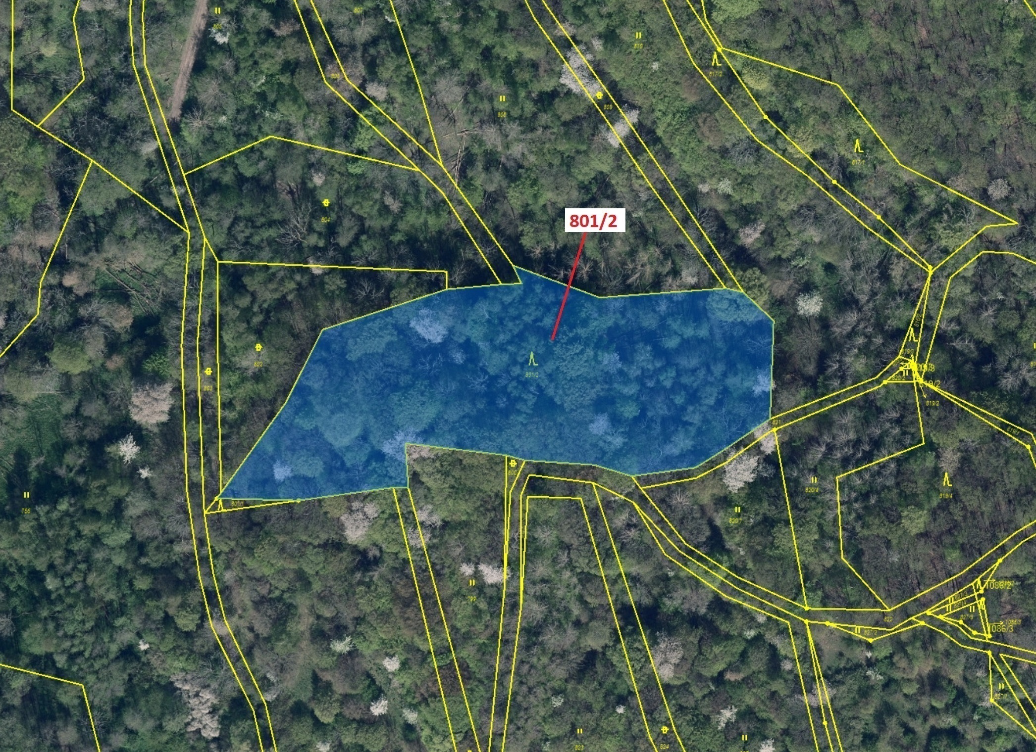 Lesní pozemek o výměře 8 765 m2, podíl  9/10, katastrální území Zubrnice, obec Zubrnice, obec s rozš