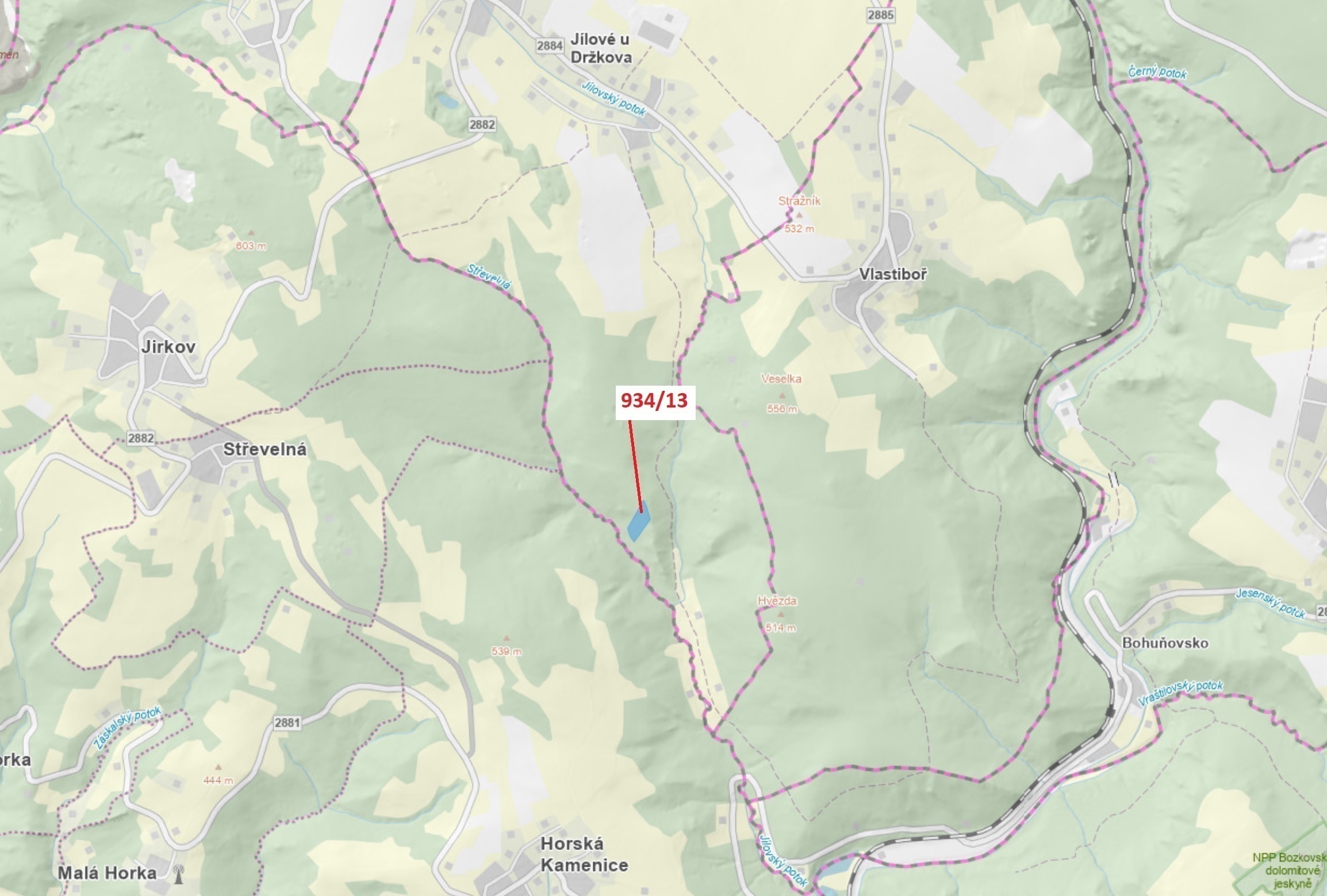 Lesní pozemek o výměře 6 213 m2, podíl 1/1, katastrální území Jílové u Držkova, obec Jílové u Držkov