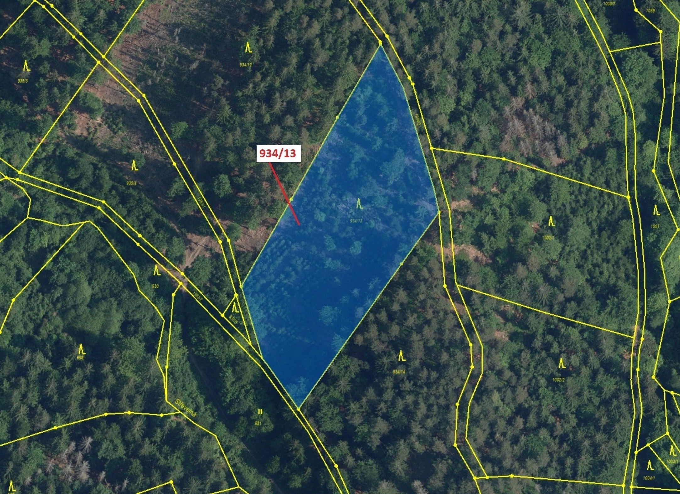 Lesní pozemek o výměře 6 213 m2, podíl 1/1, katastrální území Jílové u Držkova, obec Jílové u Držkov