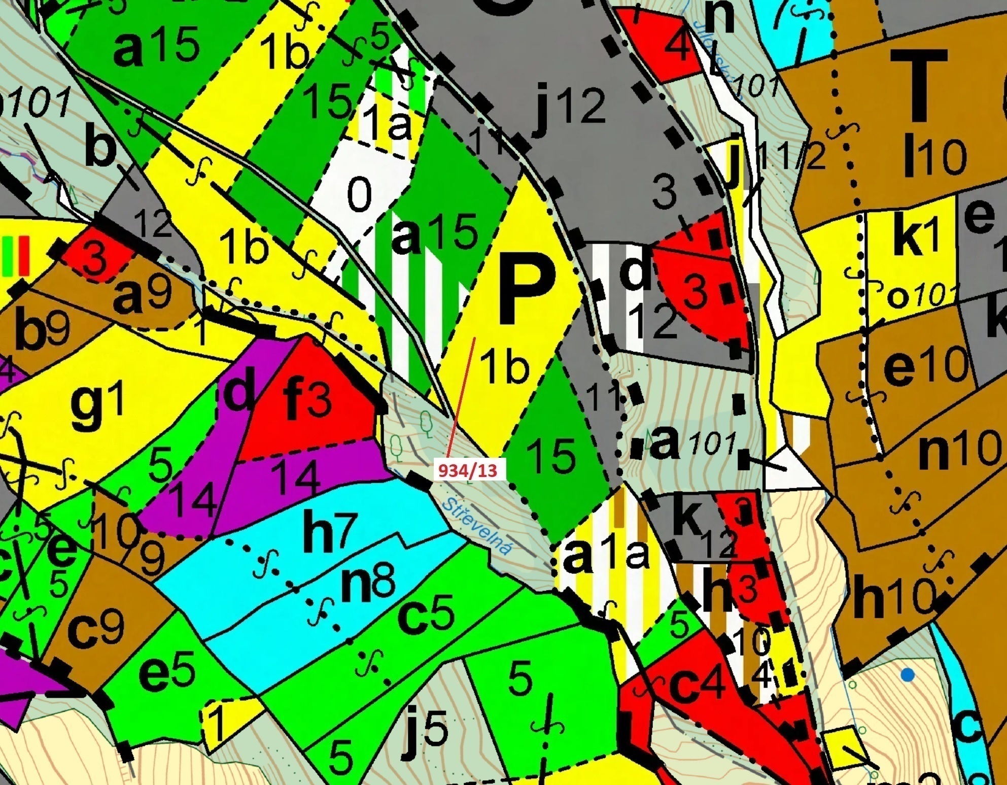 Lesní pozemek o výměře 6 213 m2, podíl 1/1, katastrální území Jílové u Držkova, obec Jílové u Držkov
